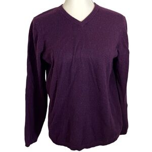 Stephanie Parks 100% 2 Ply Cashmere Purple V Neck Pullover Sweater Size …
